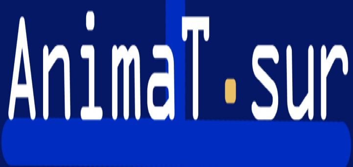 Bases XV Certamen Internacional de Teatro Mínimo AnimaT.Sur